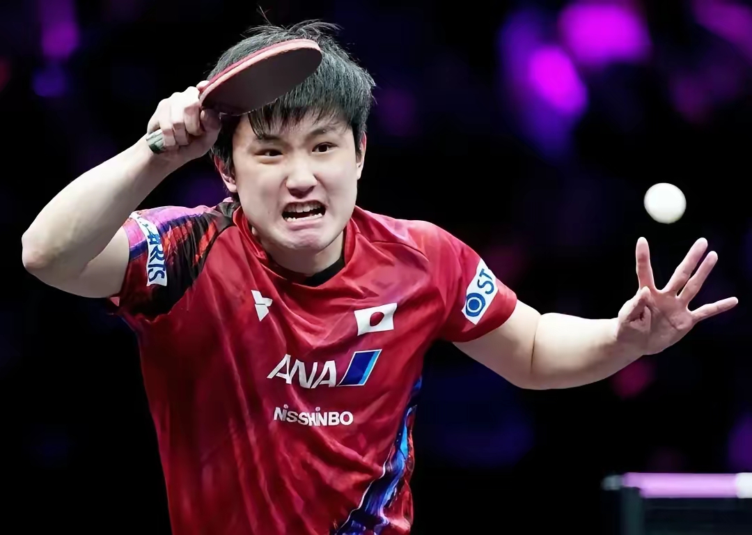 关于法国乒乓球队轻取韩国乒乓球队，张本智和完成帽子戏法的信息