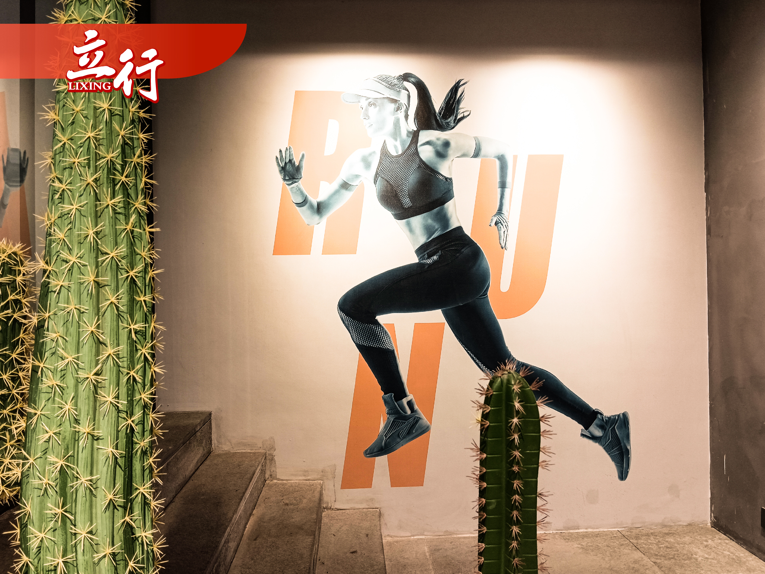 神奇一刻!运动员突破自我,创造奇迹的简单介绍 神奇一刻!运动员突破自我,创造奇迹的简单介绍