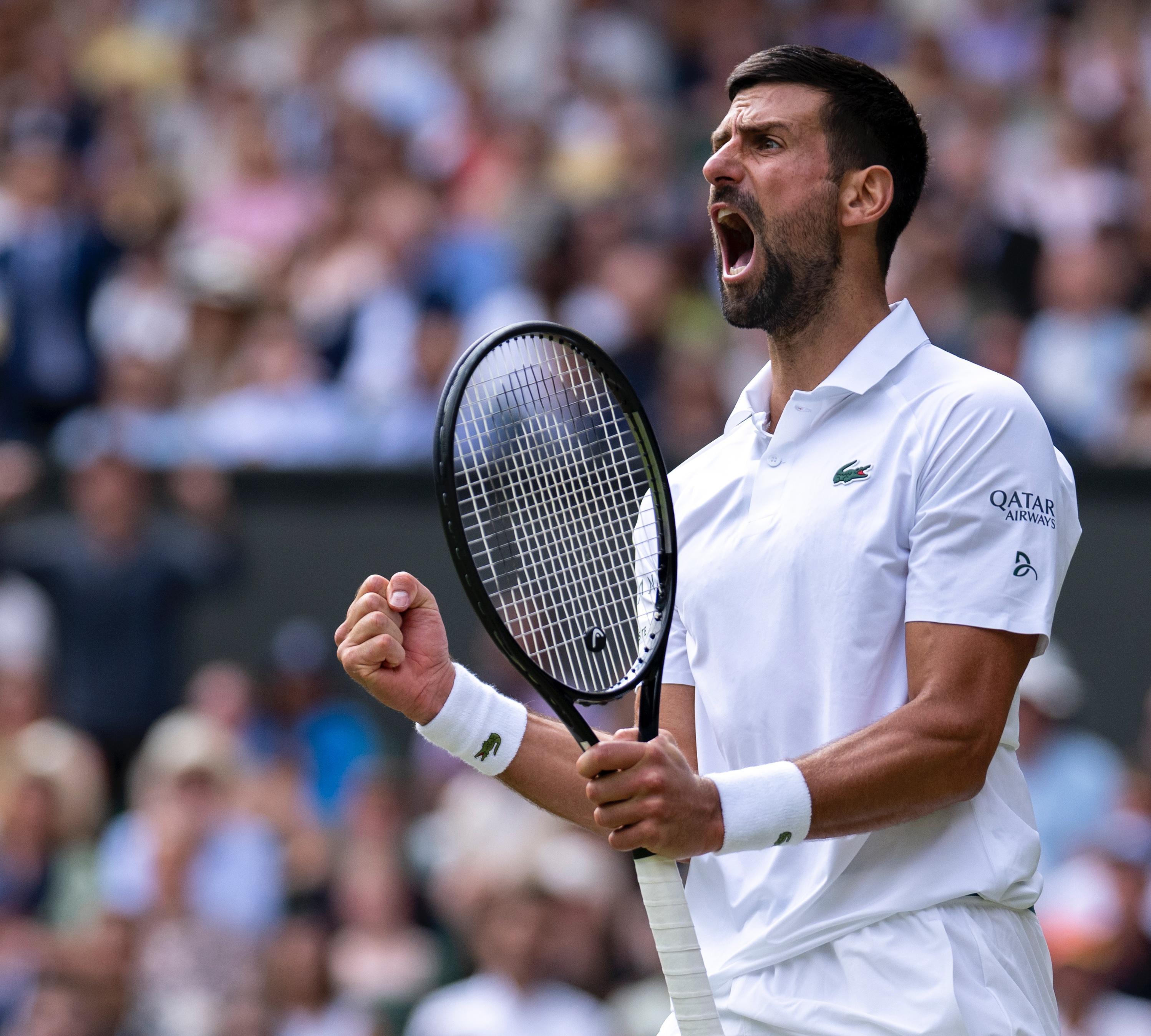 包含温网横扫戴维斯杯，德约科维奇带队取胜的词条